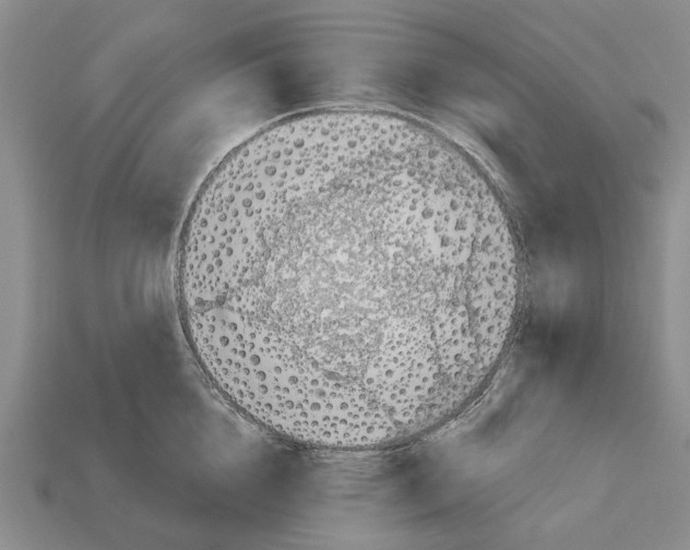 X0000112520856200909281015