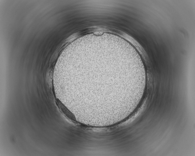 X0000112520857200909281015