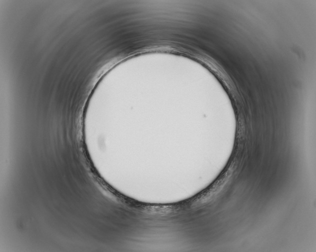 X0000112520858200909281015