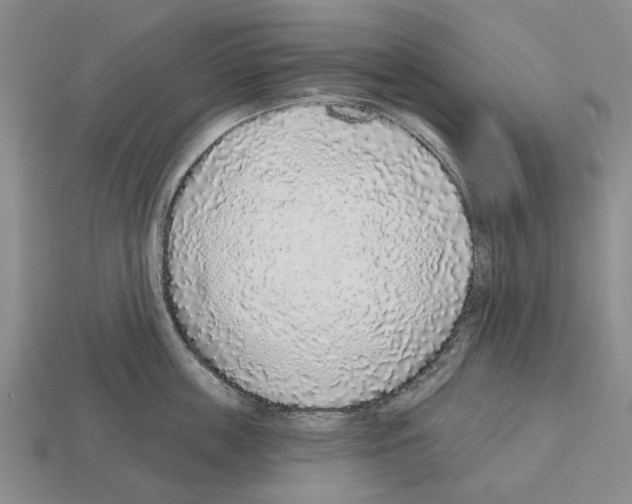 X0000112520859200909281015