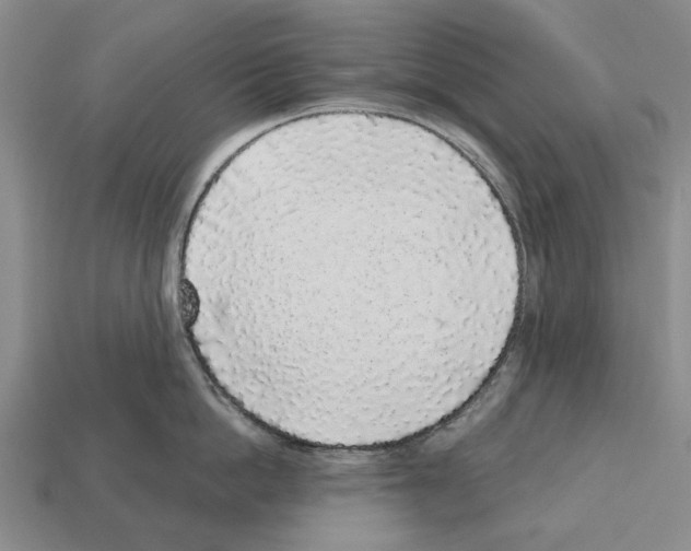 X0000112520862200909281015