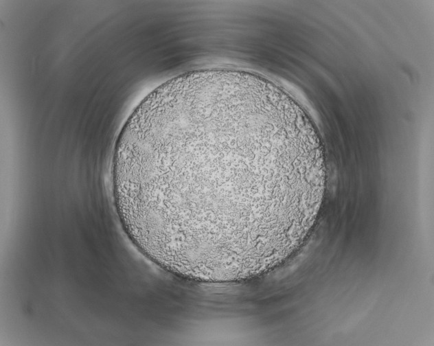 X0000112520863200909281015