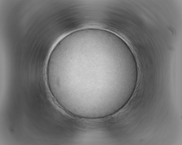 X0000112520864200909281015