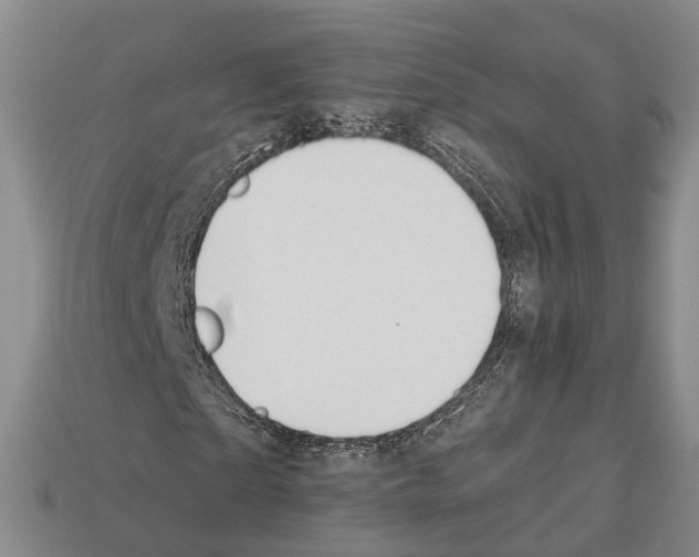 X0000112520865200909281015