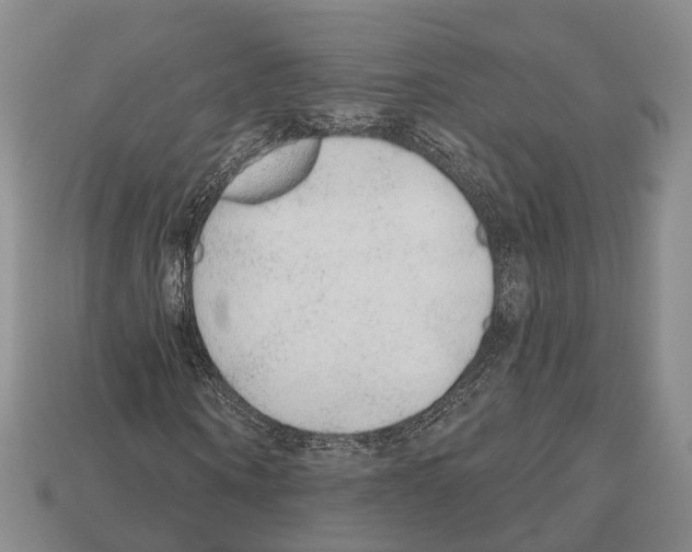 X0000112520866200909281015