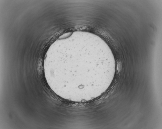 X0000112520867200909281015