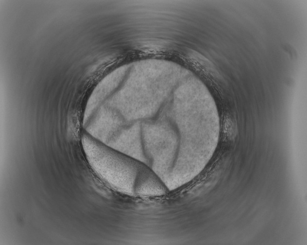 X0000112520868200909281014