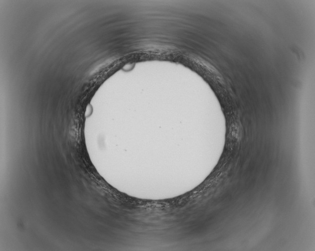 X0000112520869200909281014