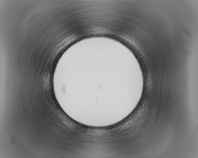 X0000112520873200909281014