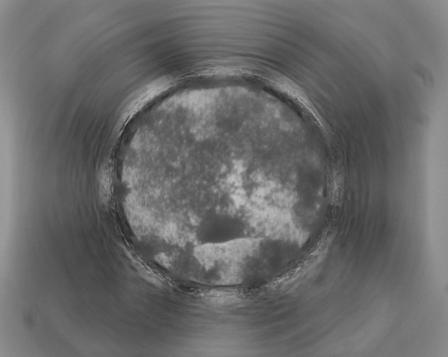 X0000112520874200909281014