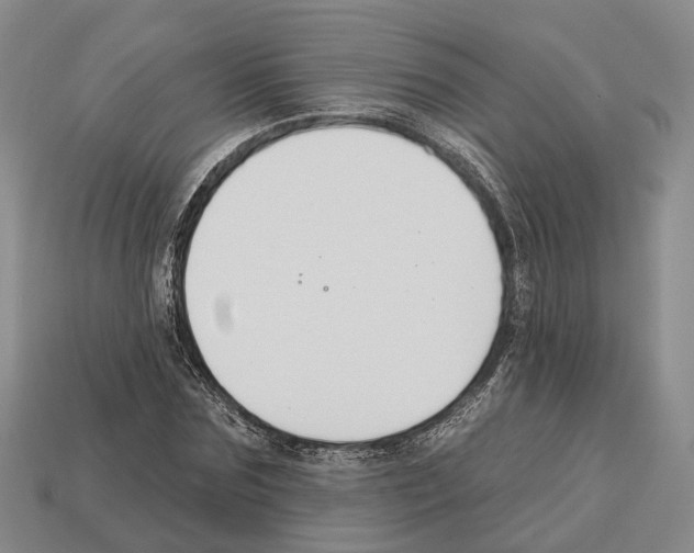 X0000112520875200909281014