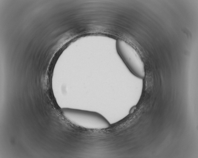 X0000112520876200909281014