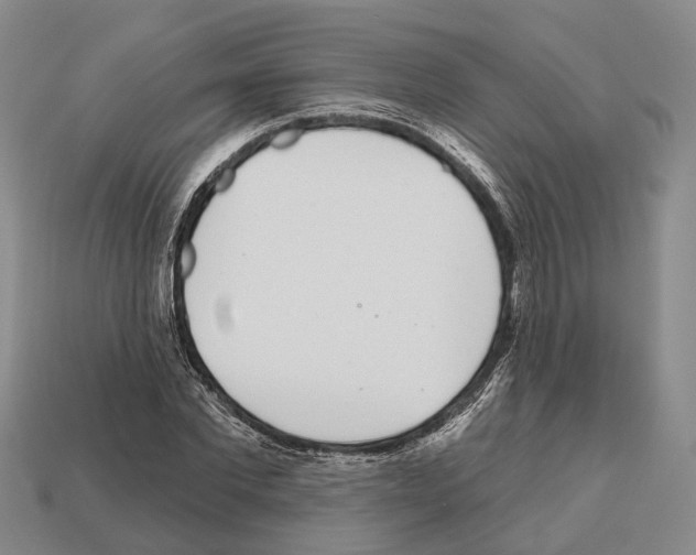 X0000112520877200909281014