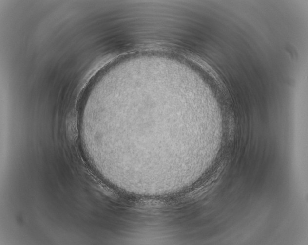 X0000112520878200909281014