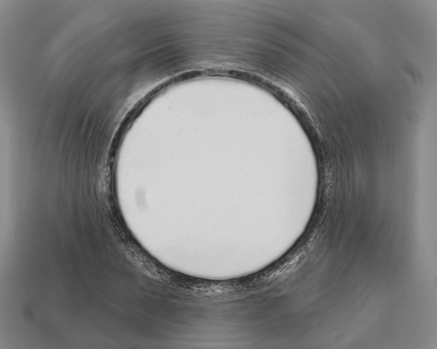 X0000112520879200909281014