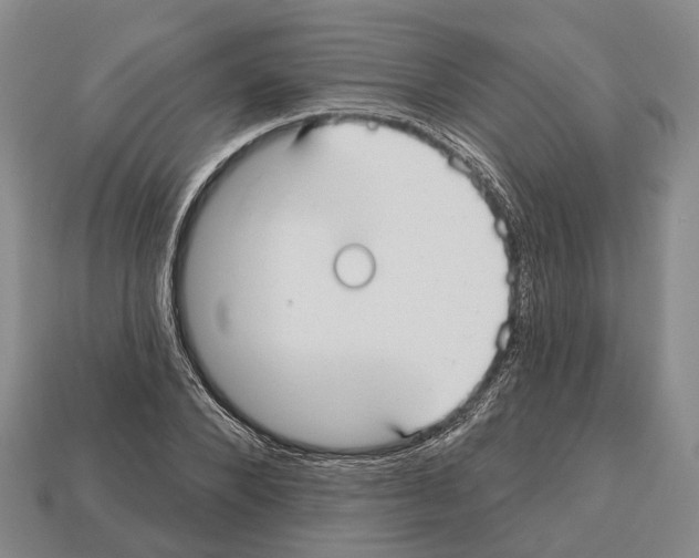 X0000112520880200909281014