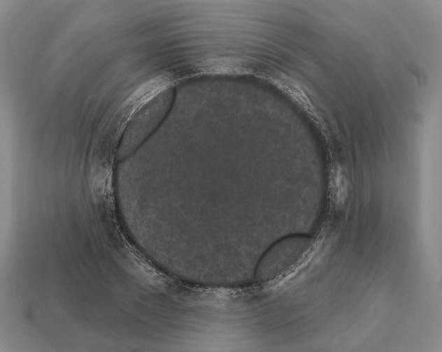 X0000112520881200909281014