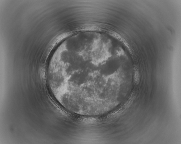 X0000112520882200909281014