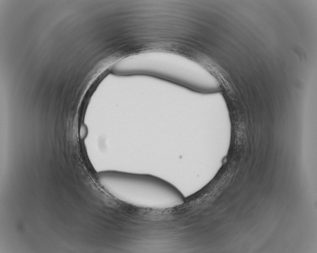X0000112520884200909281014