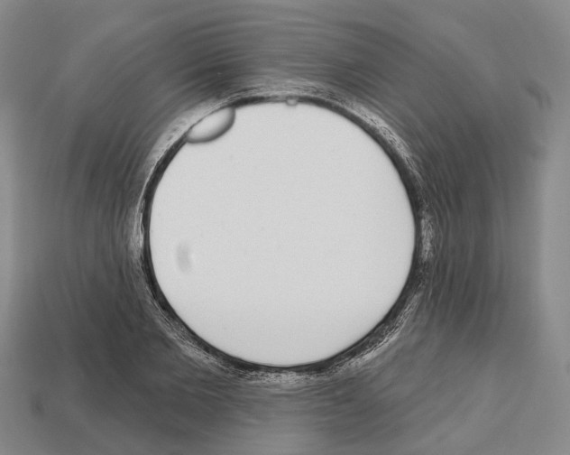 X0000112520885200909281014