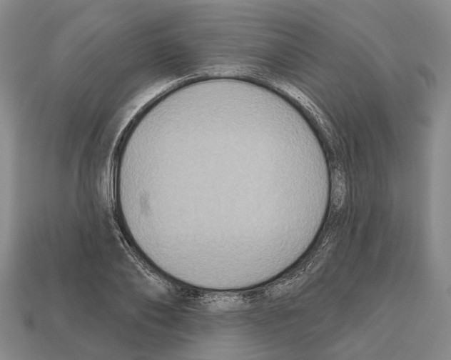 X0000112520886200909281014