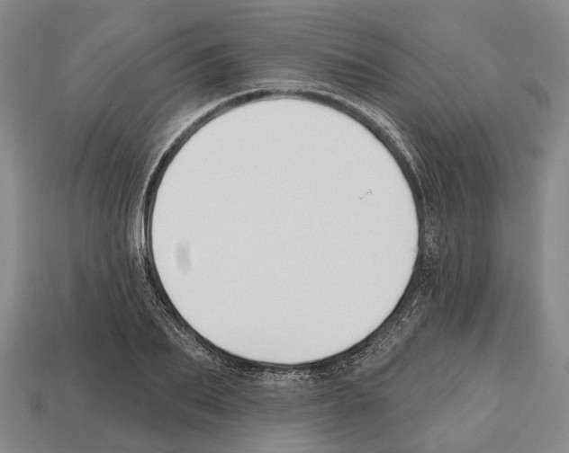 X0000112520887200909281014