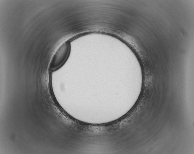 X0000112520888200909281014