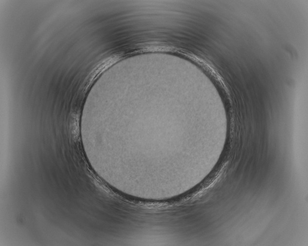 X0000112520889200909281014