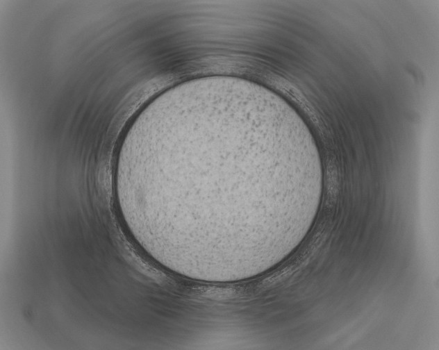 X0000112520890200909281014