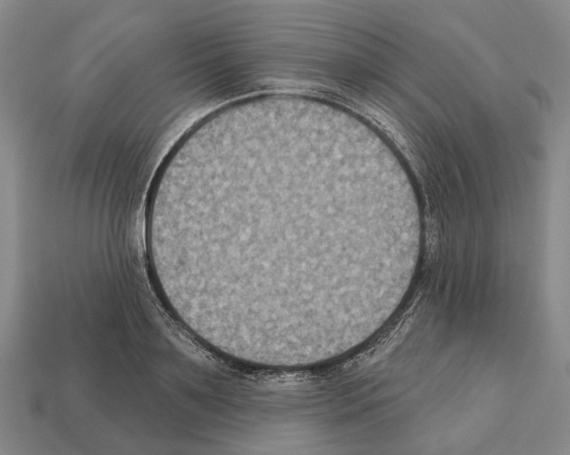X0000112520891200909281014