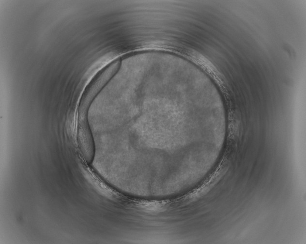 X0000112520892200909281014