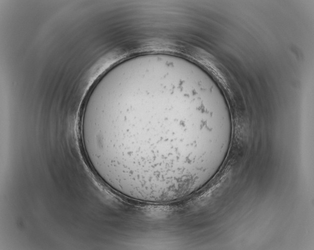 X0000112520893200909281014