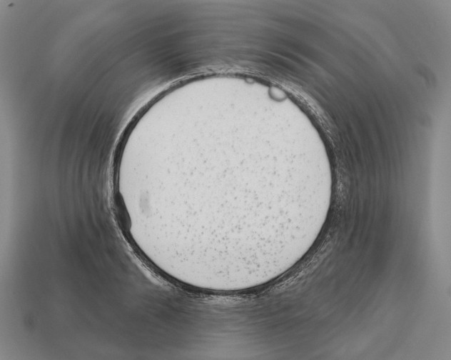 X0000112520894200909281014