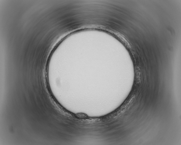 X0000112520895200909281014