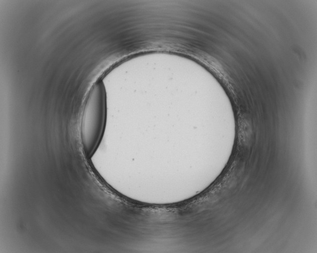 X0000112520896200909281014