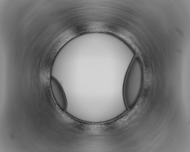 X0000112520897200909281014