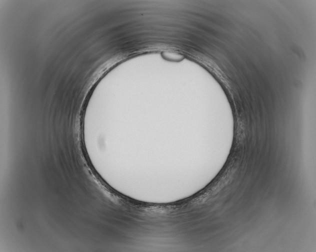 X0000112520898200909281014