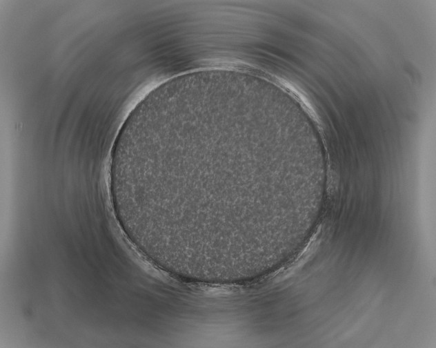 X0000112520899200909281014