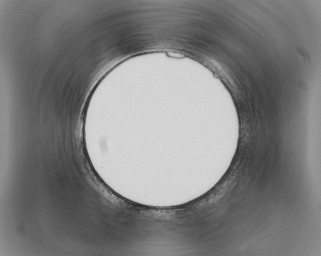 X0000112520900200909281014