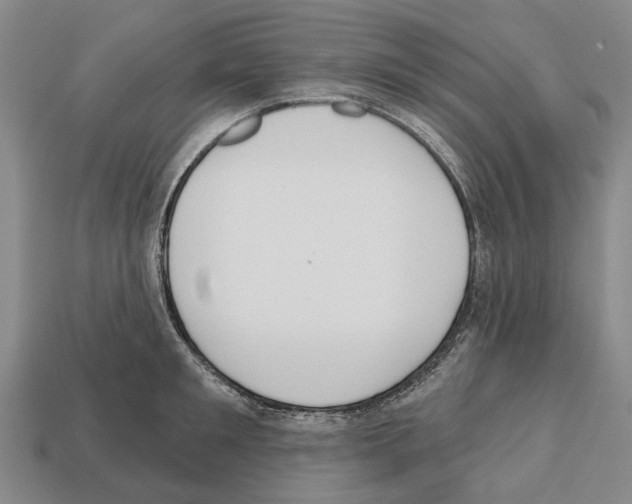 X0000112520901200909281014