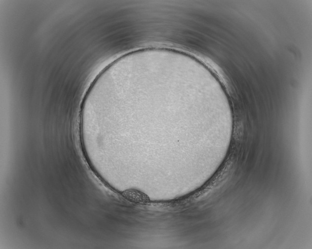 X0000112520903200909281014