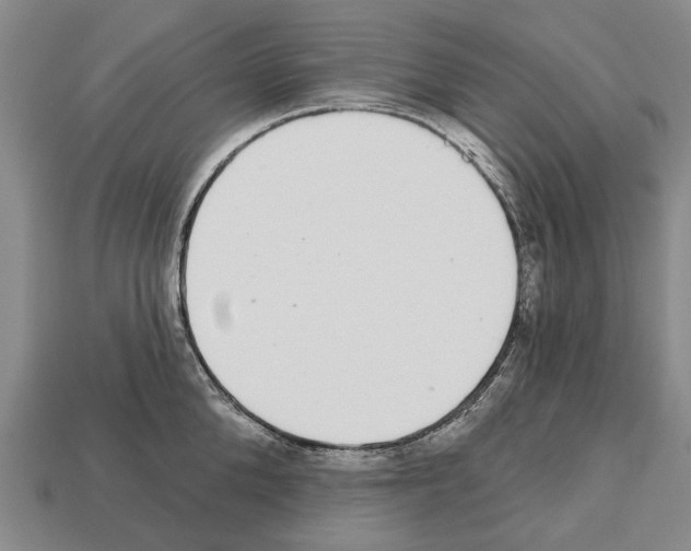 X0000112520904200909281014