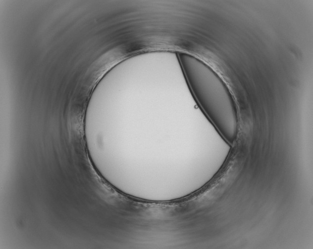 X0000112520905200909281014