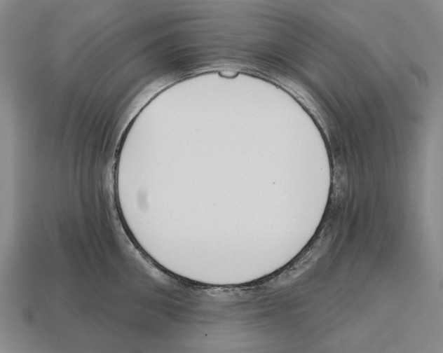 X0000112520906200909281014