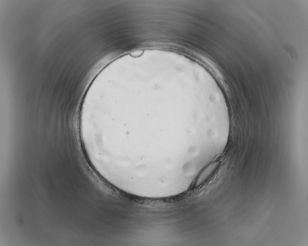X0000112520907200909281014
