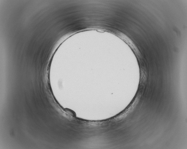 X0000112520908200909281014