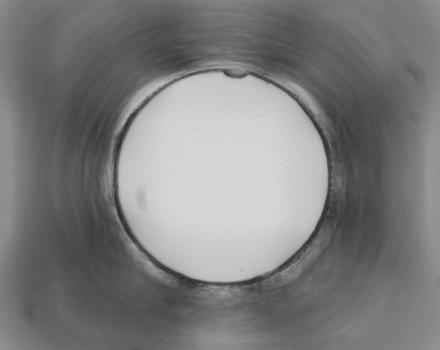 X0000112520910200909281014