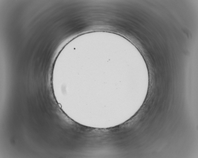 X0000112520912200909281014