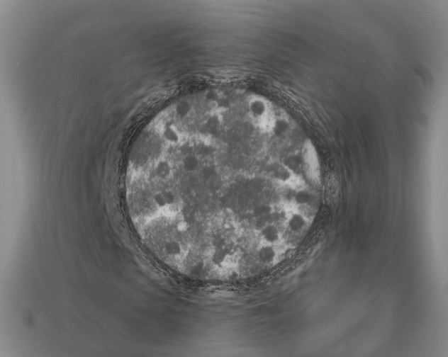 X0000112520913200909281013