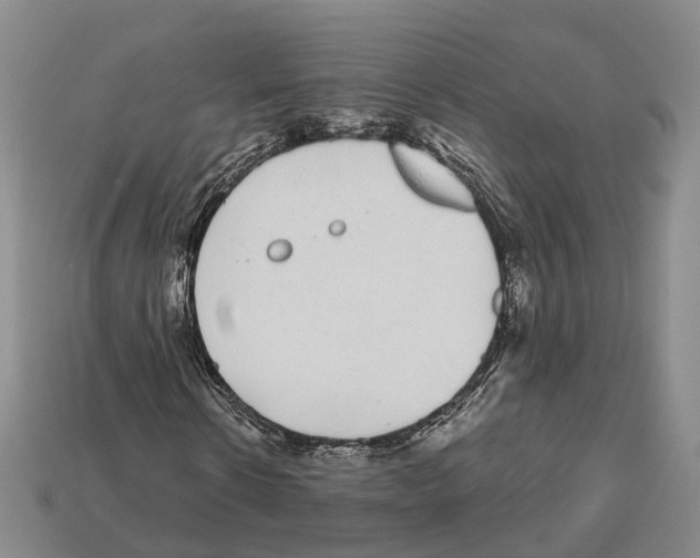 X0000112520914200909281013